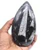 Natural fossil orthoceras - 0