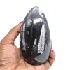 Orthoceras morocco - 0