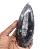 Polished natural orthoceras - 0