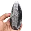 Orthoceras morocco - 0