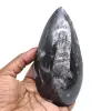 Fossil orthoceras - 0