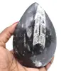 Fossilized orthoceras - 0