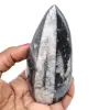 Fossil of orthoceras from morocco - 0