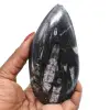 Polished orthoceras fossil - 0