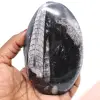 Natural orthoceras fossil - 0