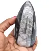 Natural fossil orthoceras - 0