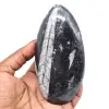 Fossil of orthoceras from morocco - 0
