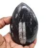 Natural orthoceras - 0