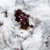 Erythrite Stone - 2