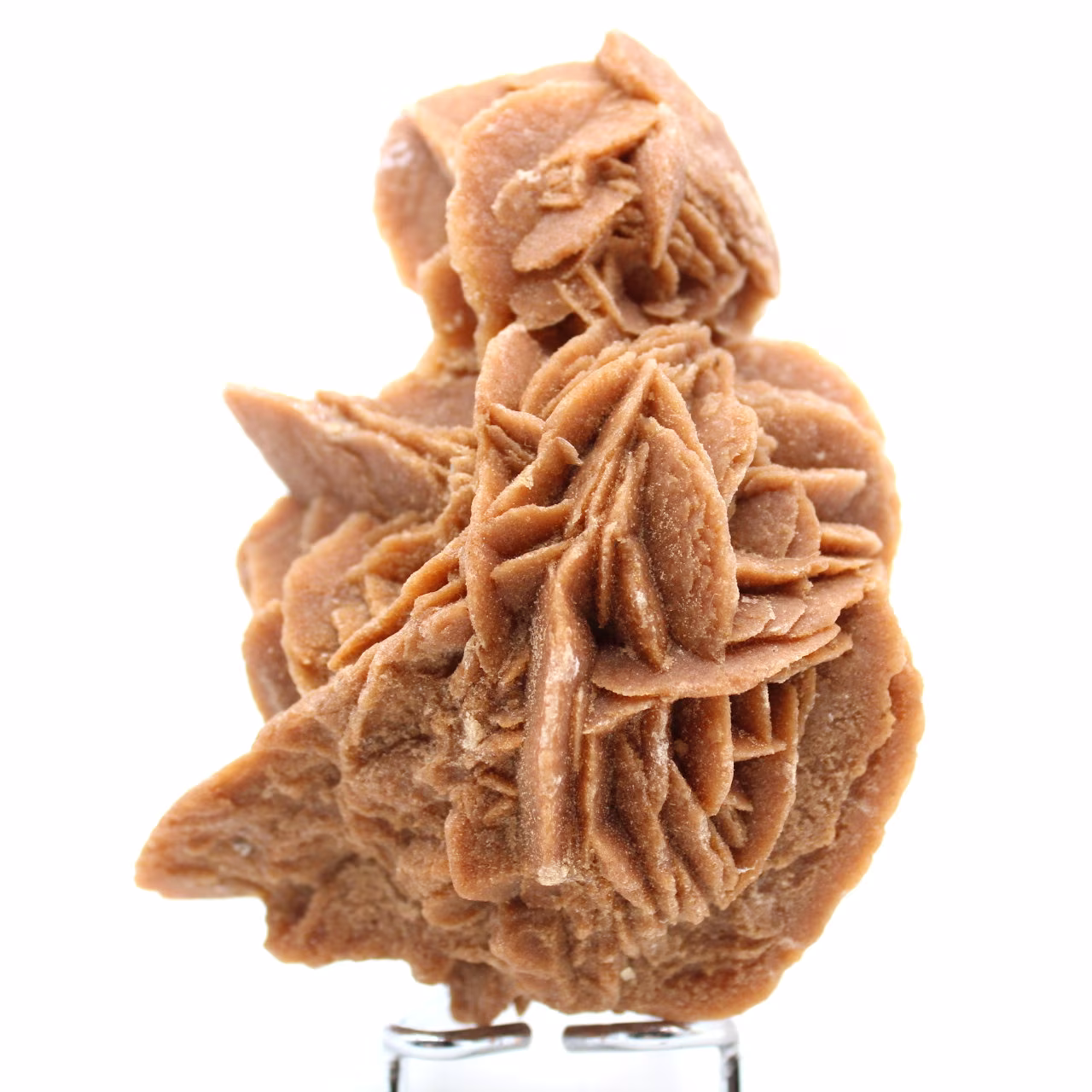 Natural sand rose