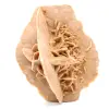 Raw natural sand rose - 0