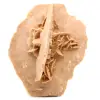 Raw natural sand rose - 3