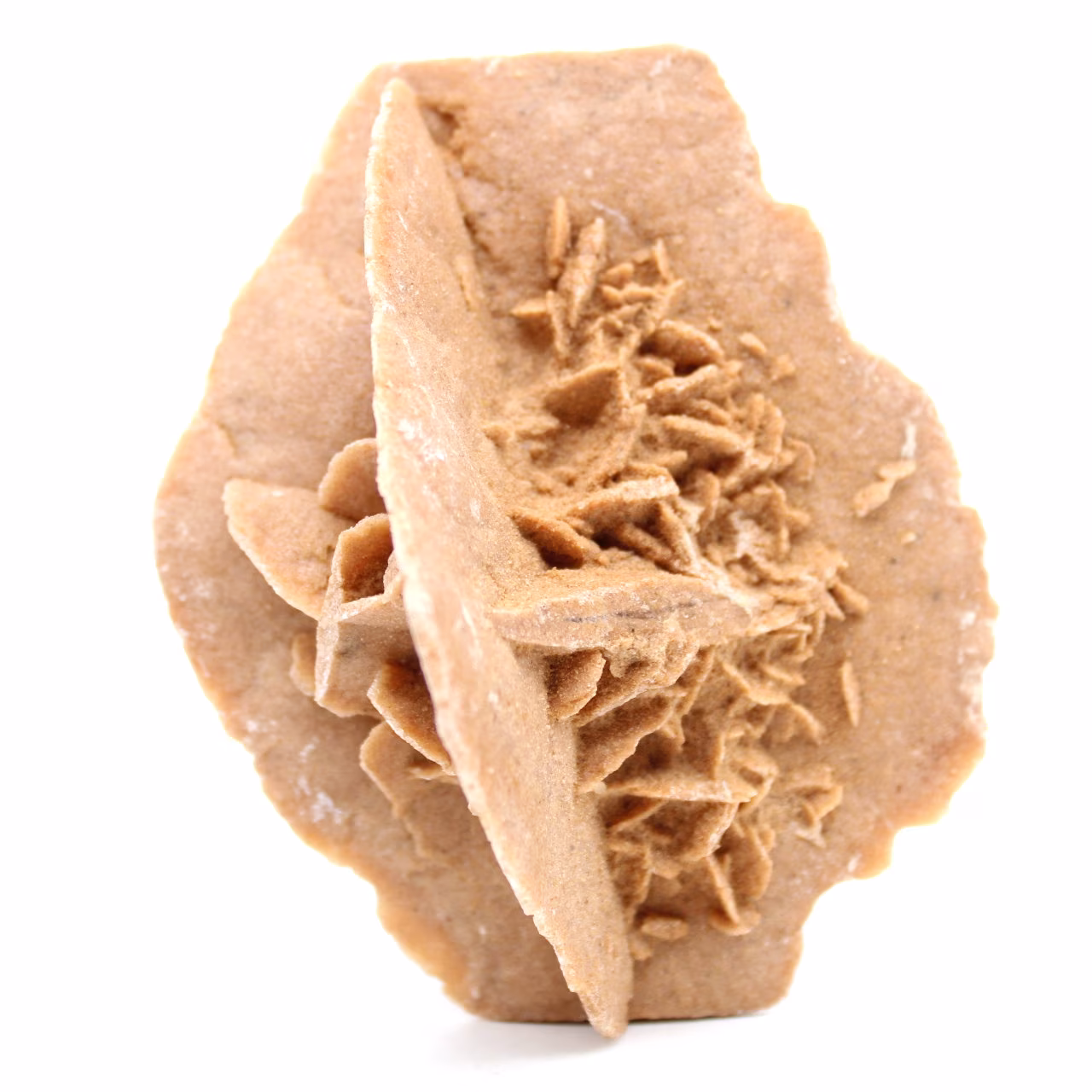 Raw natural sand rose