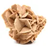 Desert Rose - 0