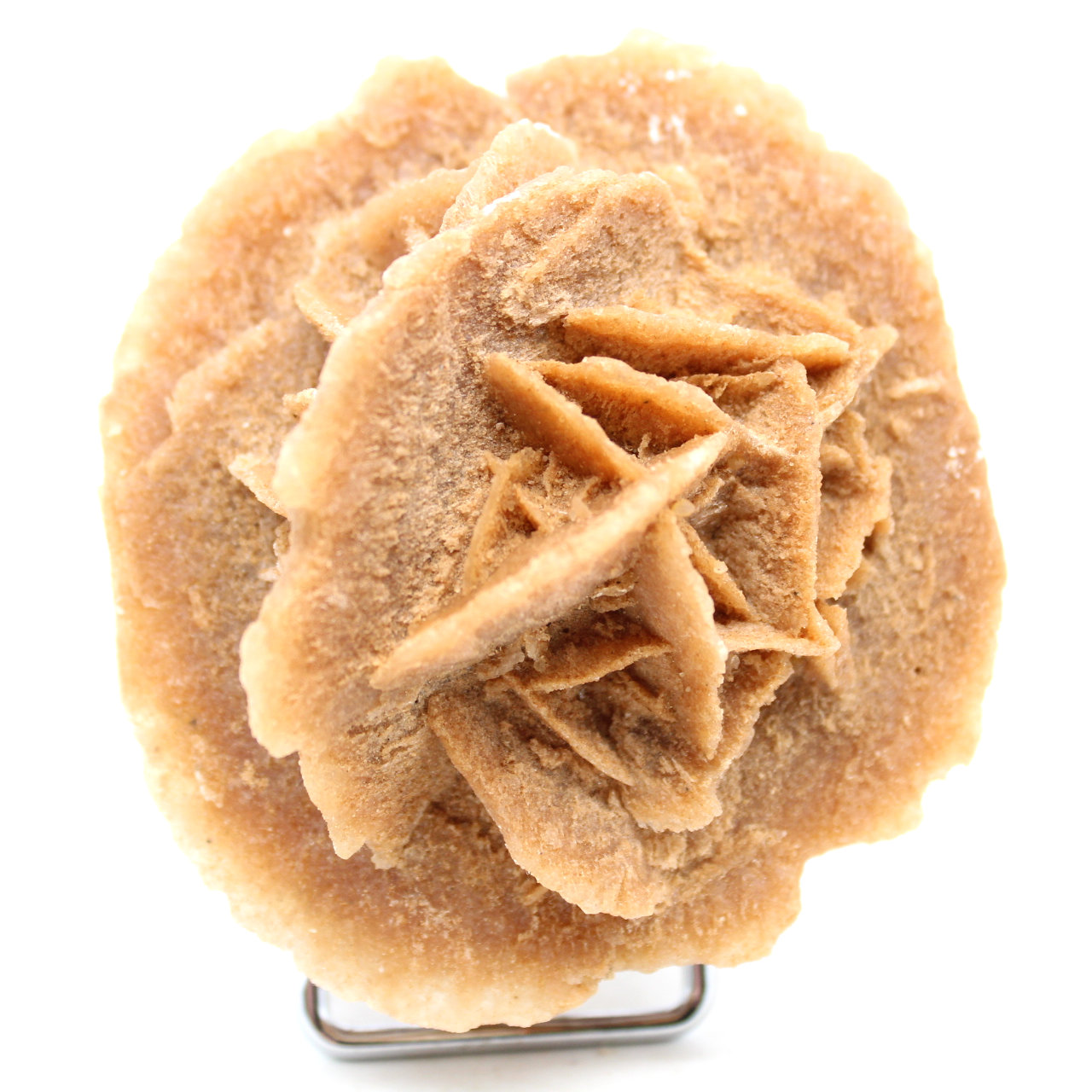Natural sand rose