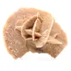 raw sand rose - 0