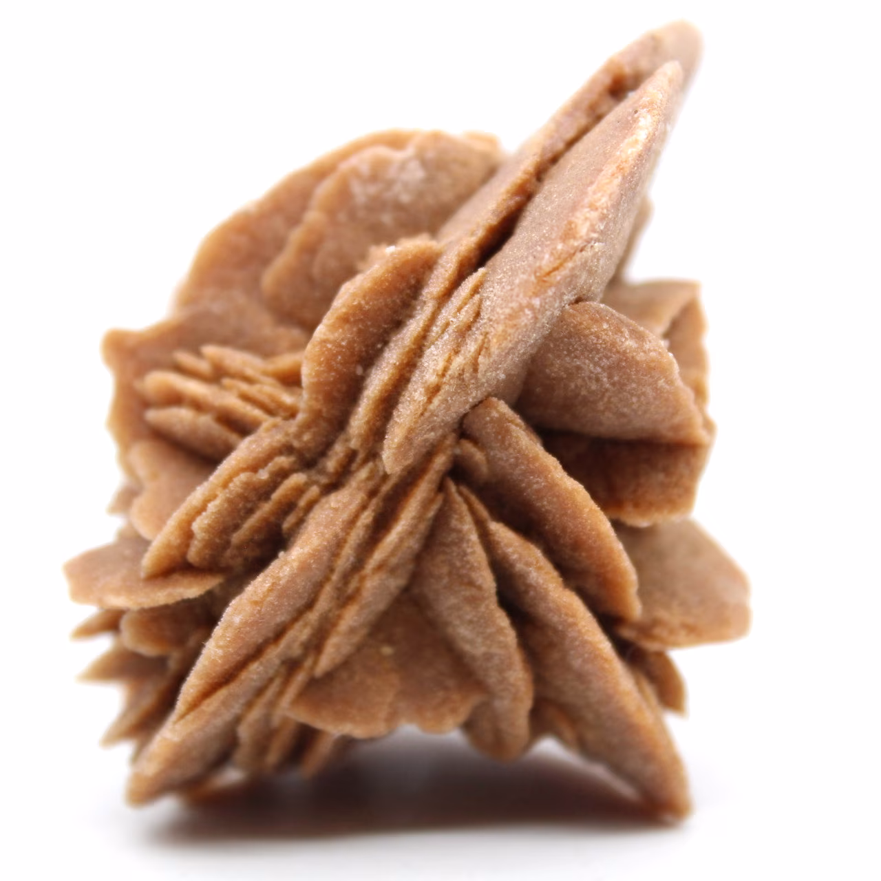 sand rose stone