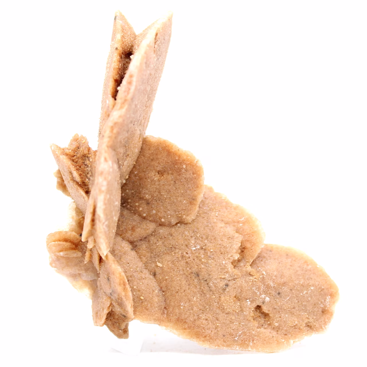 Raw natural sand rose