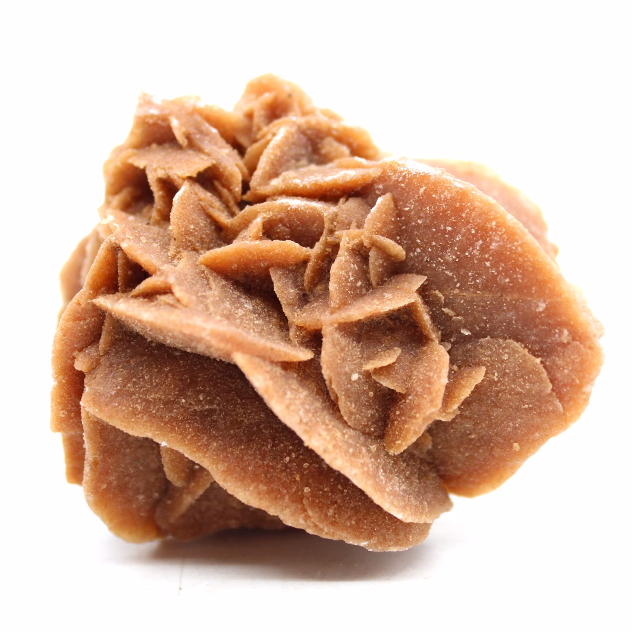 raw sand rose