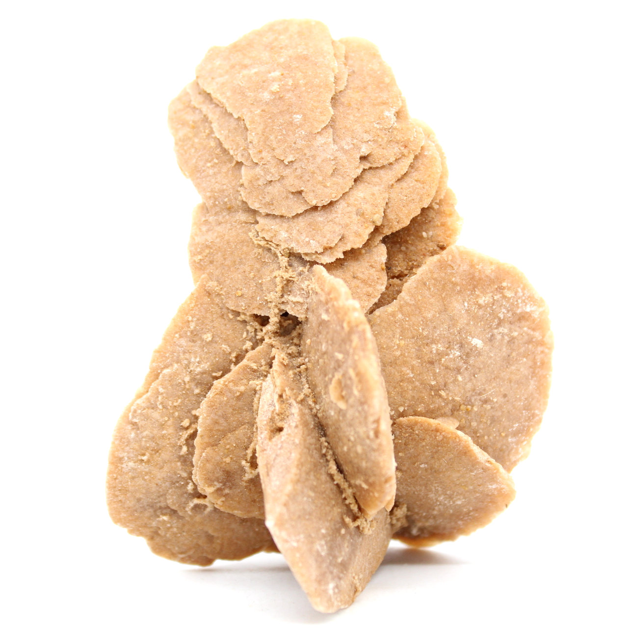 Raw natural sand rose