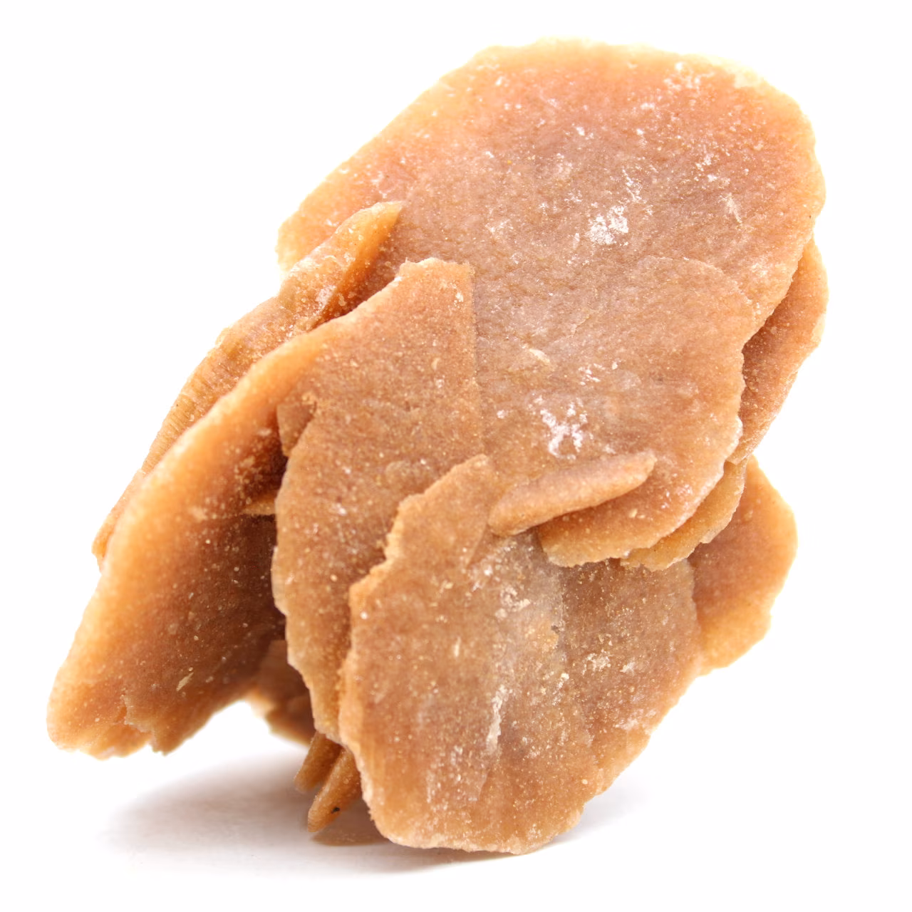 Natural sand rose