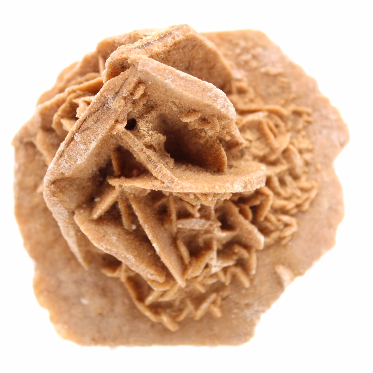 raw sand rose