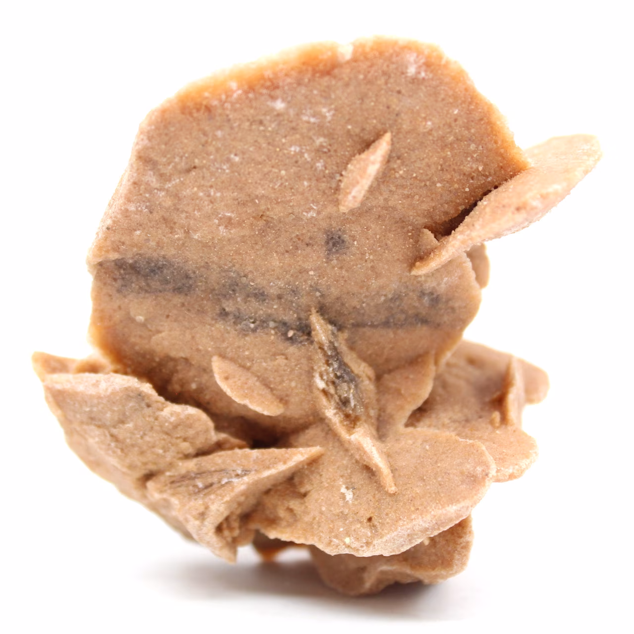 Desert Rose