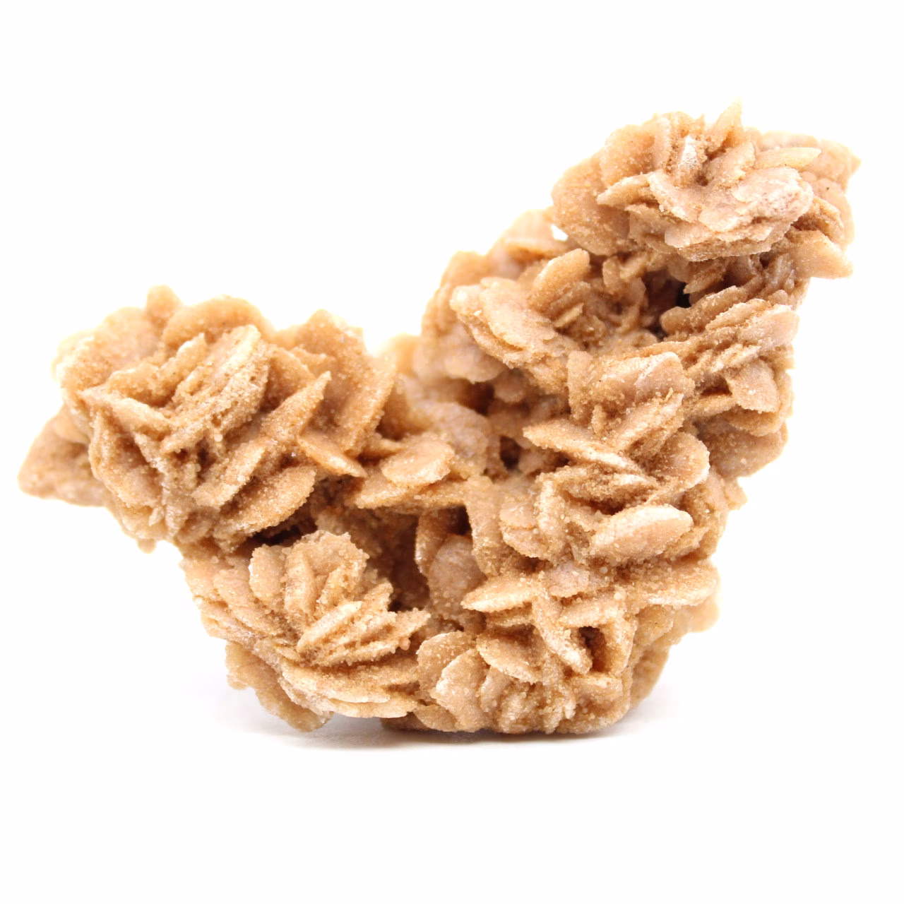 Raw natural sand rose