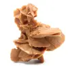 Desert Rose - 0