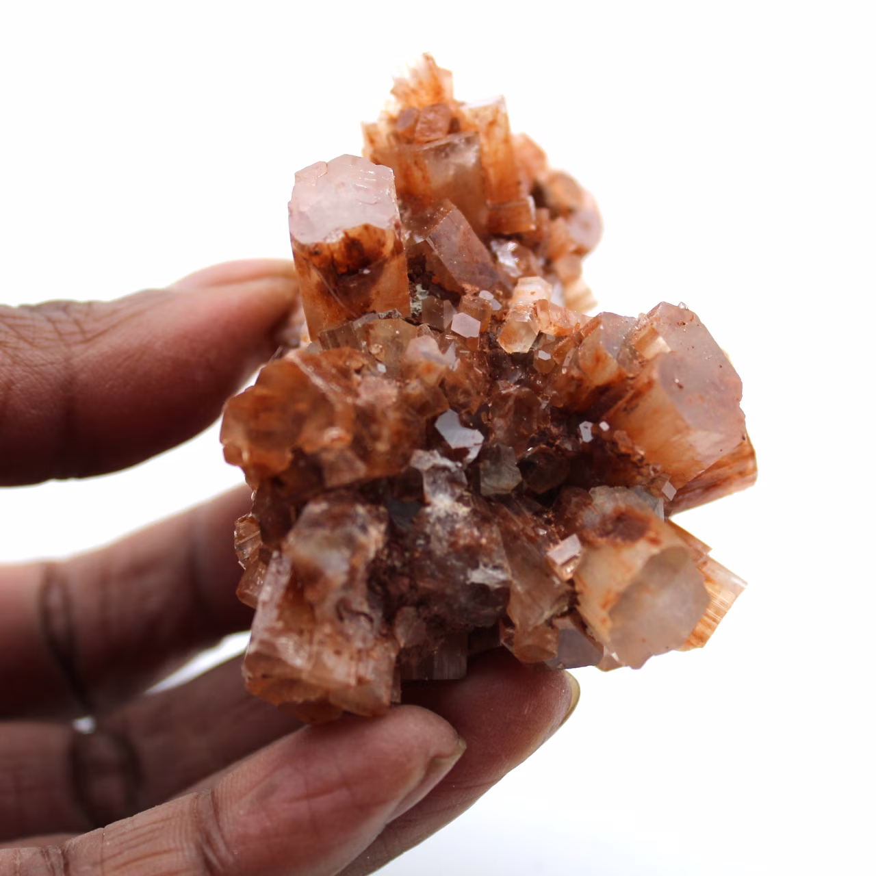 Collectible aragonite