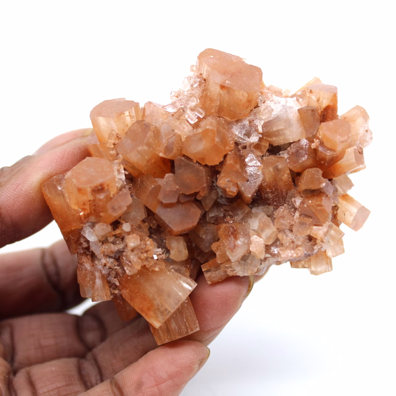 Collectible aragonite