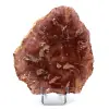 Fossilized polished wood from Madagascar - 0