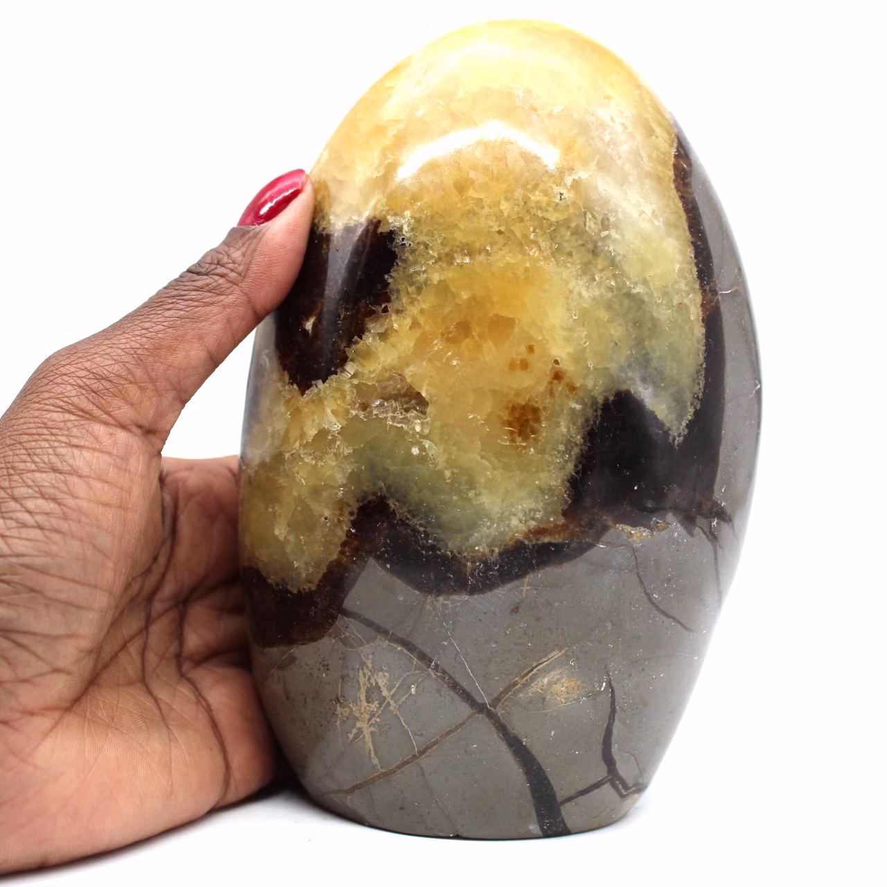 Stone of septaria