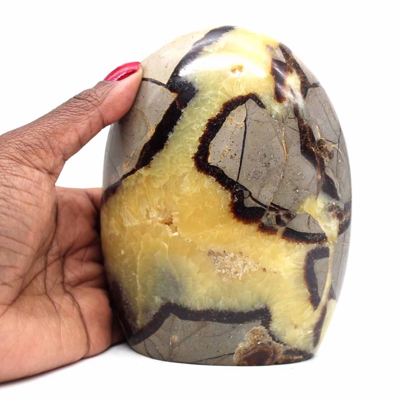 Rock in natural septaria