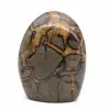 Polished stone in septaria - 1