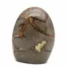 Polished stone in septaria - 3