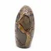 Polished stone in septaria - 4