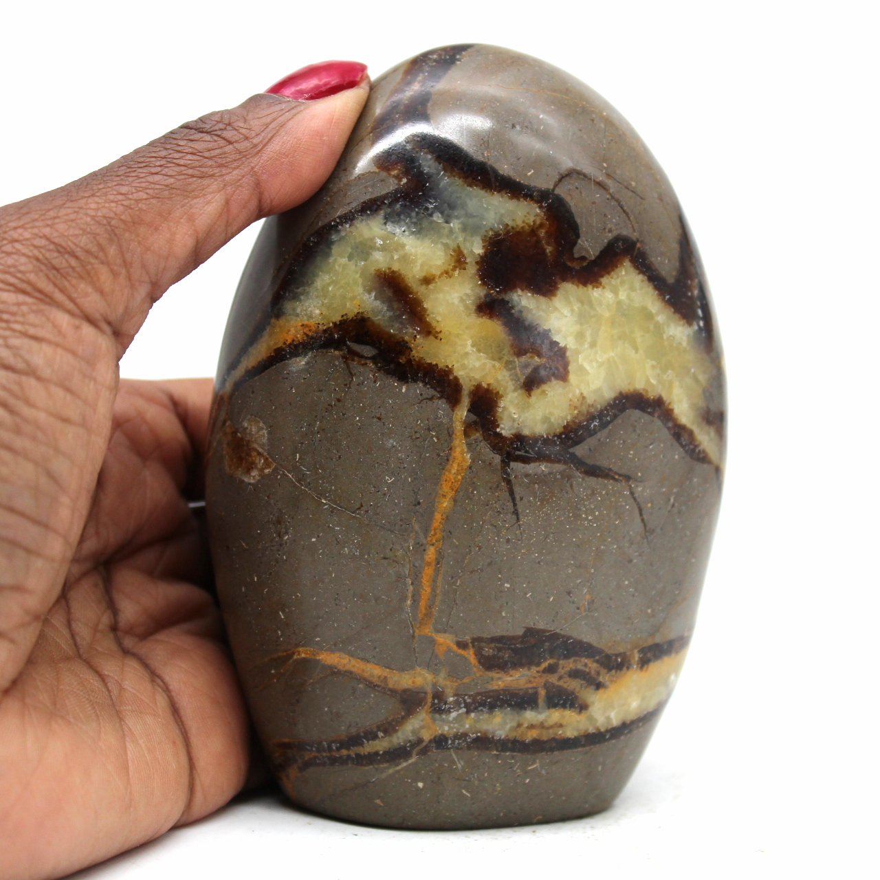 Polished rock in septaria