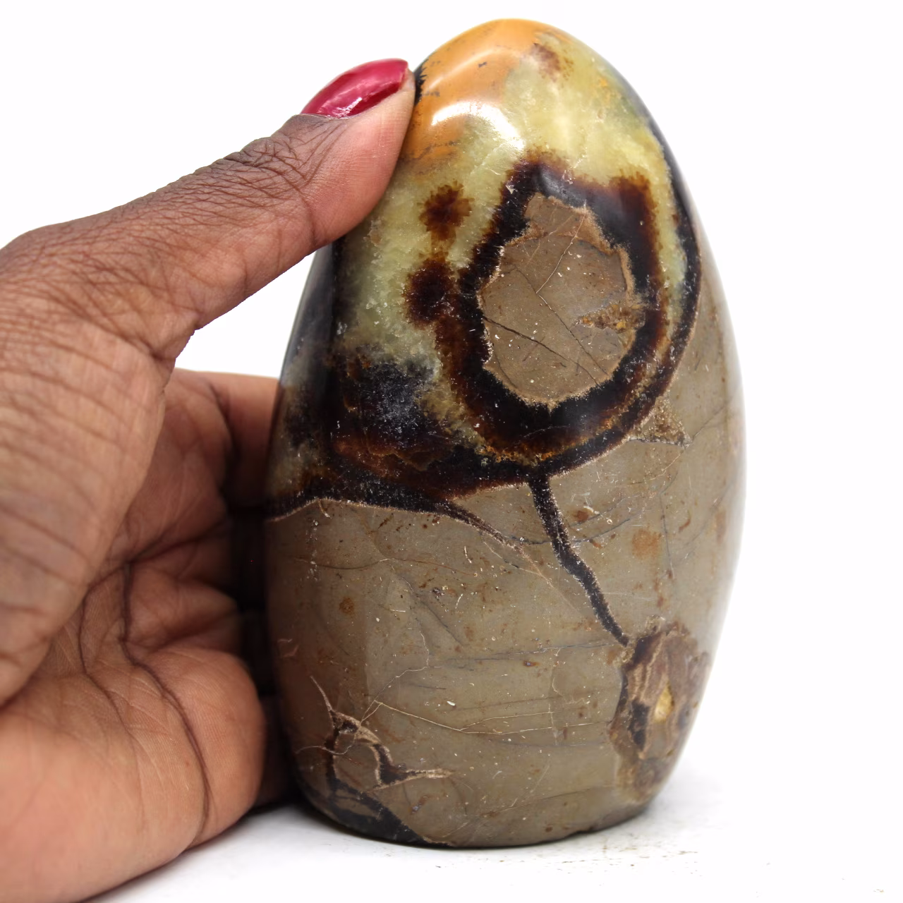 Septaria block to lay