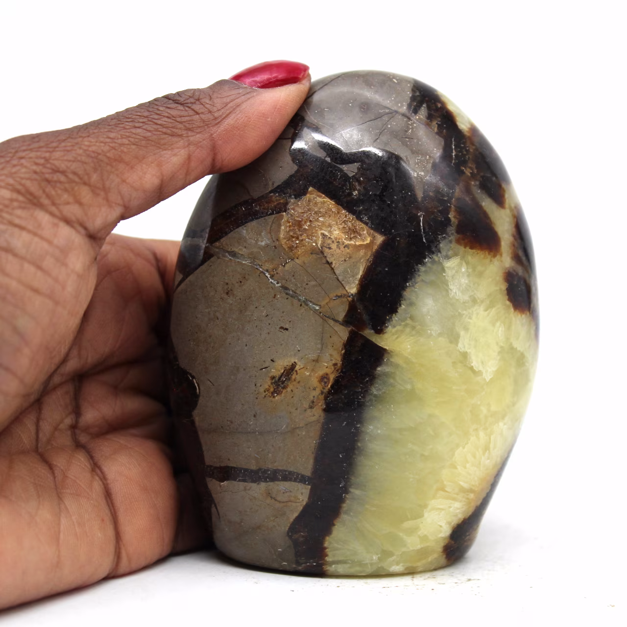 Paperweight in septaria