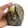 Natural ornamental septaria - 0