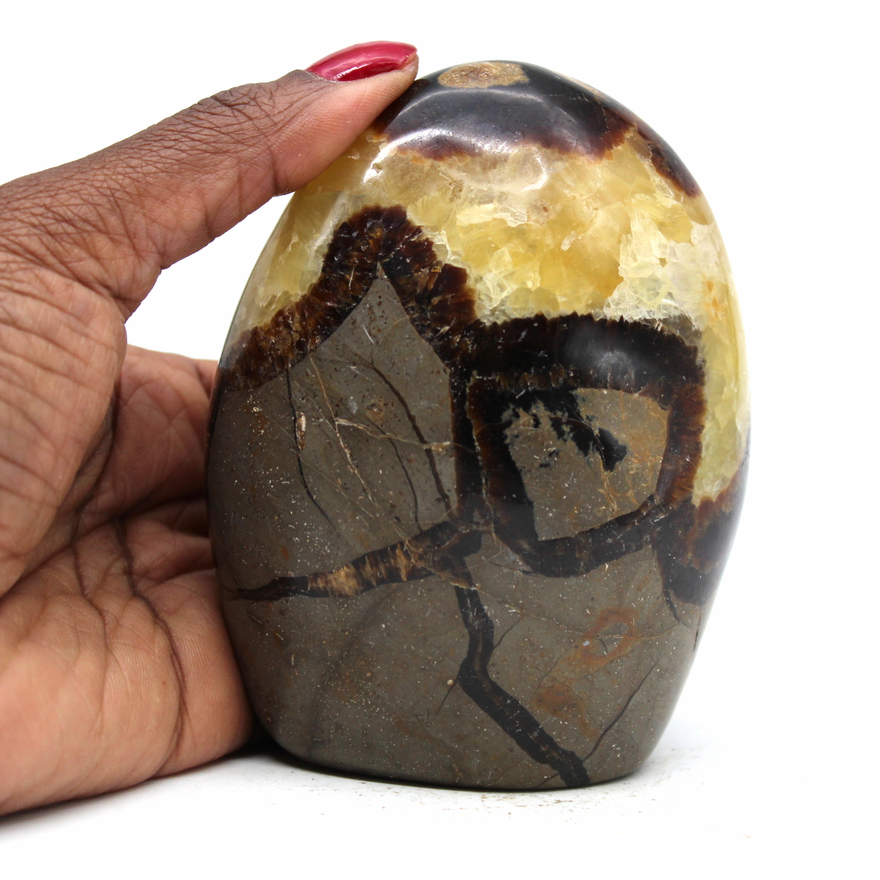 Rock in natural septaria