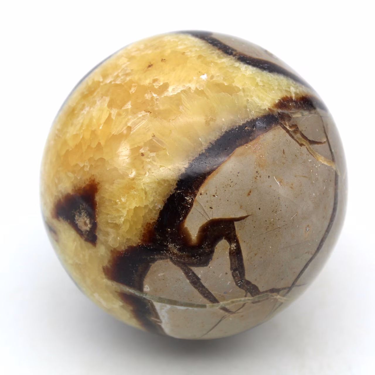 Sphere in septaria
