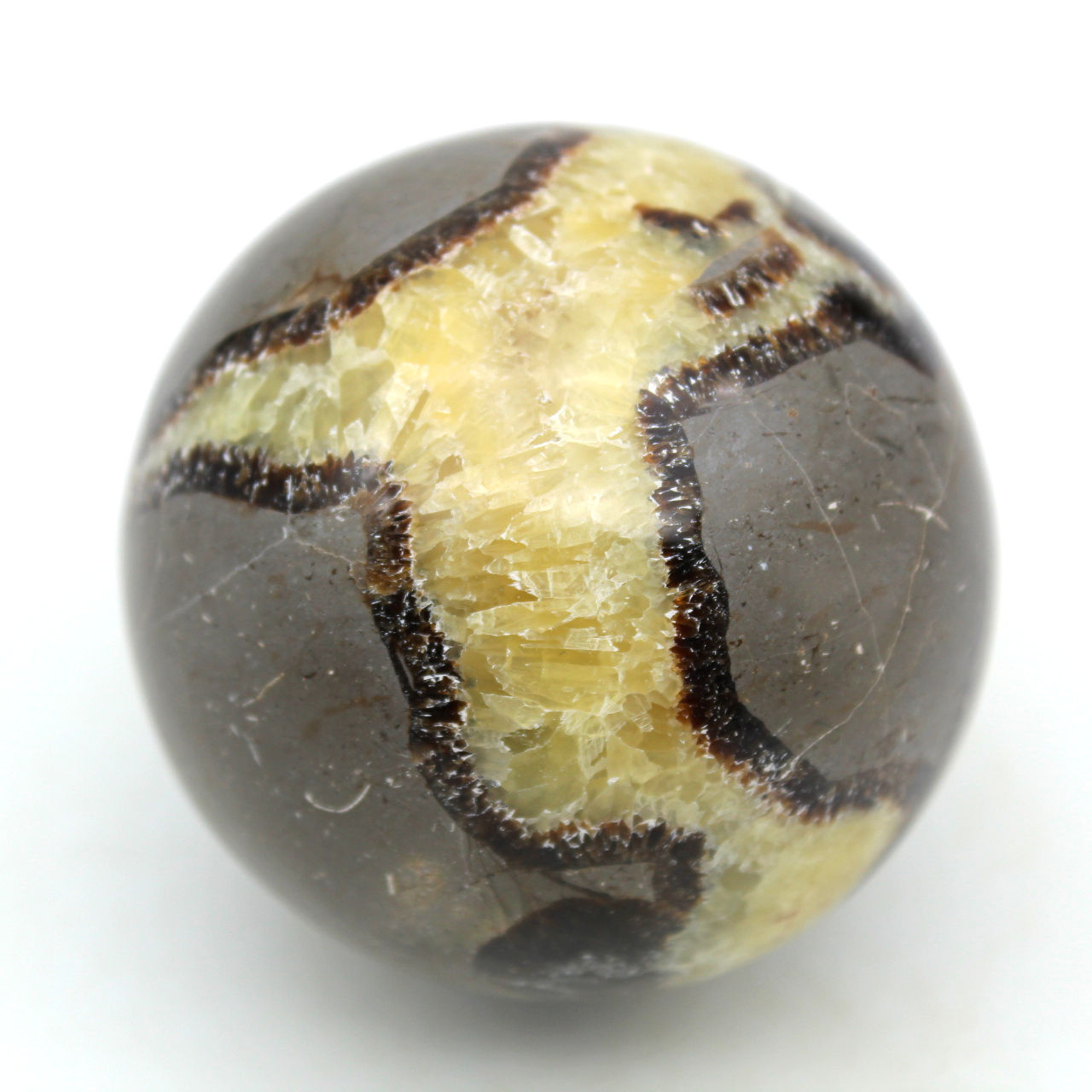 Sphere in septaria
