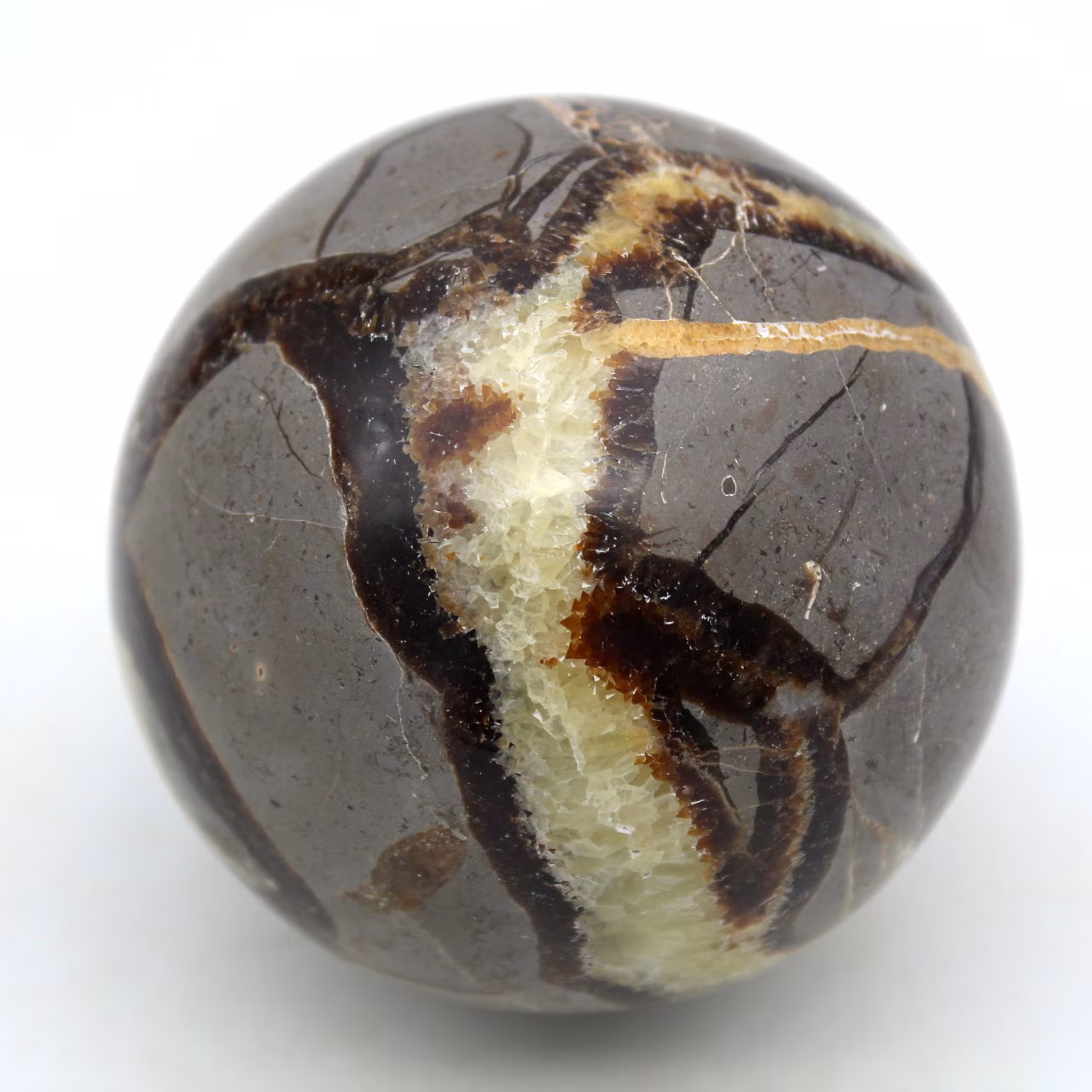 Sphere in septaria