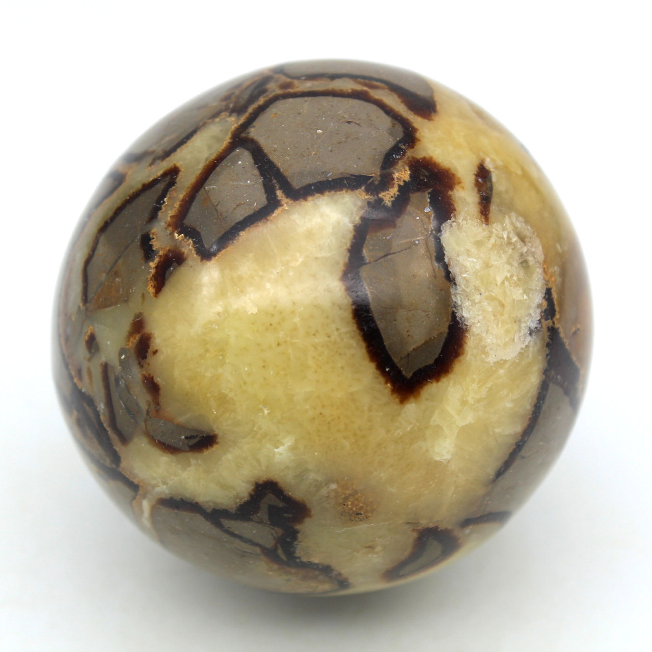 Sphere in septaria