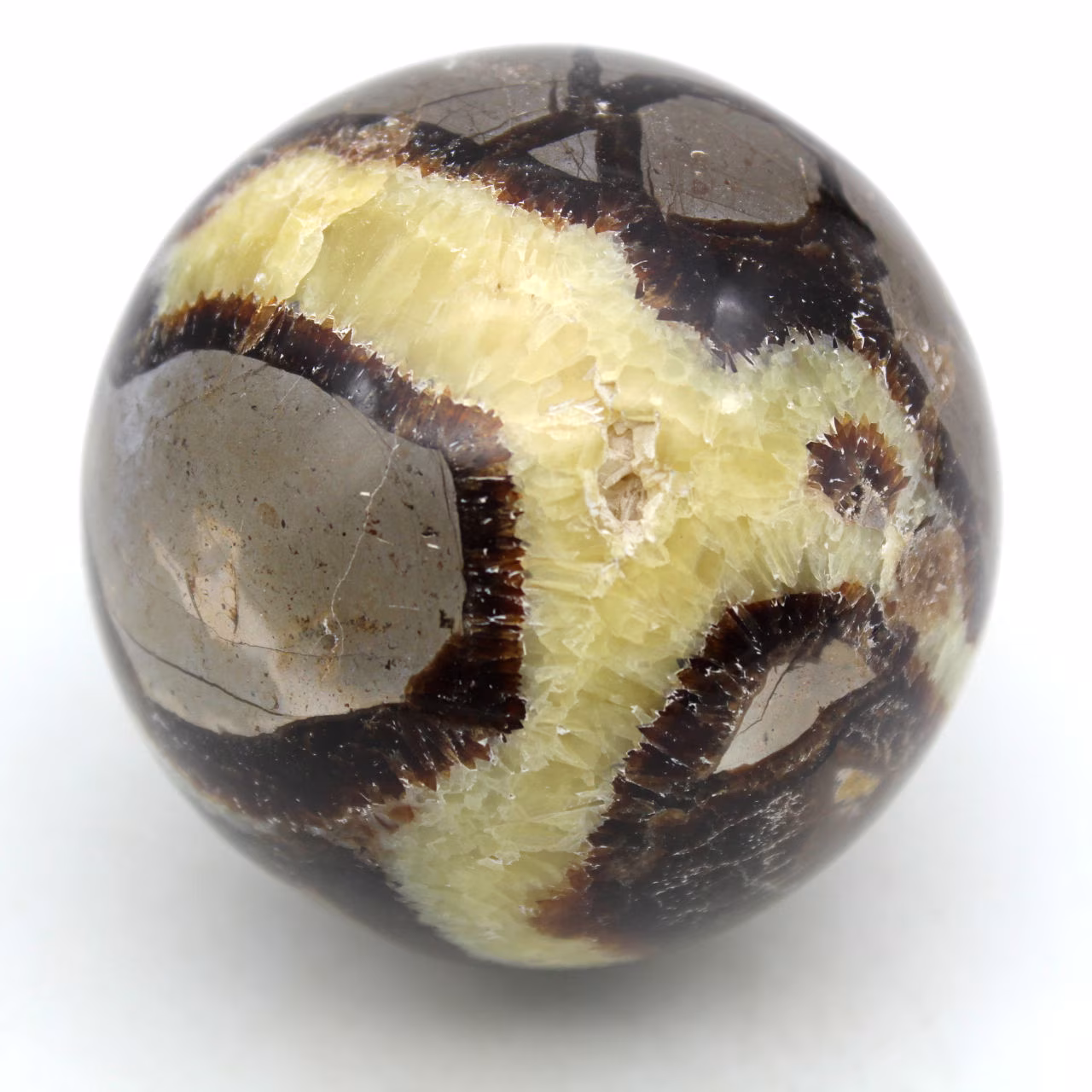 Sphere in septaria