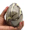 Mineral egg in septaria - 0