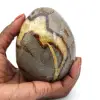 Mineral egg in septaria - 0