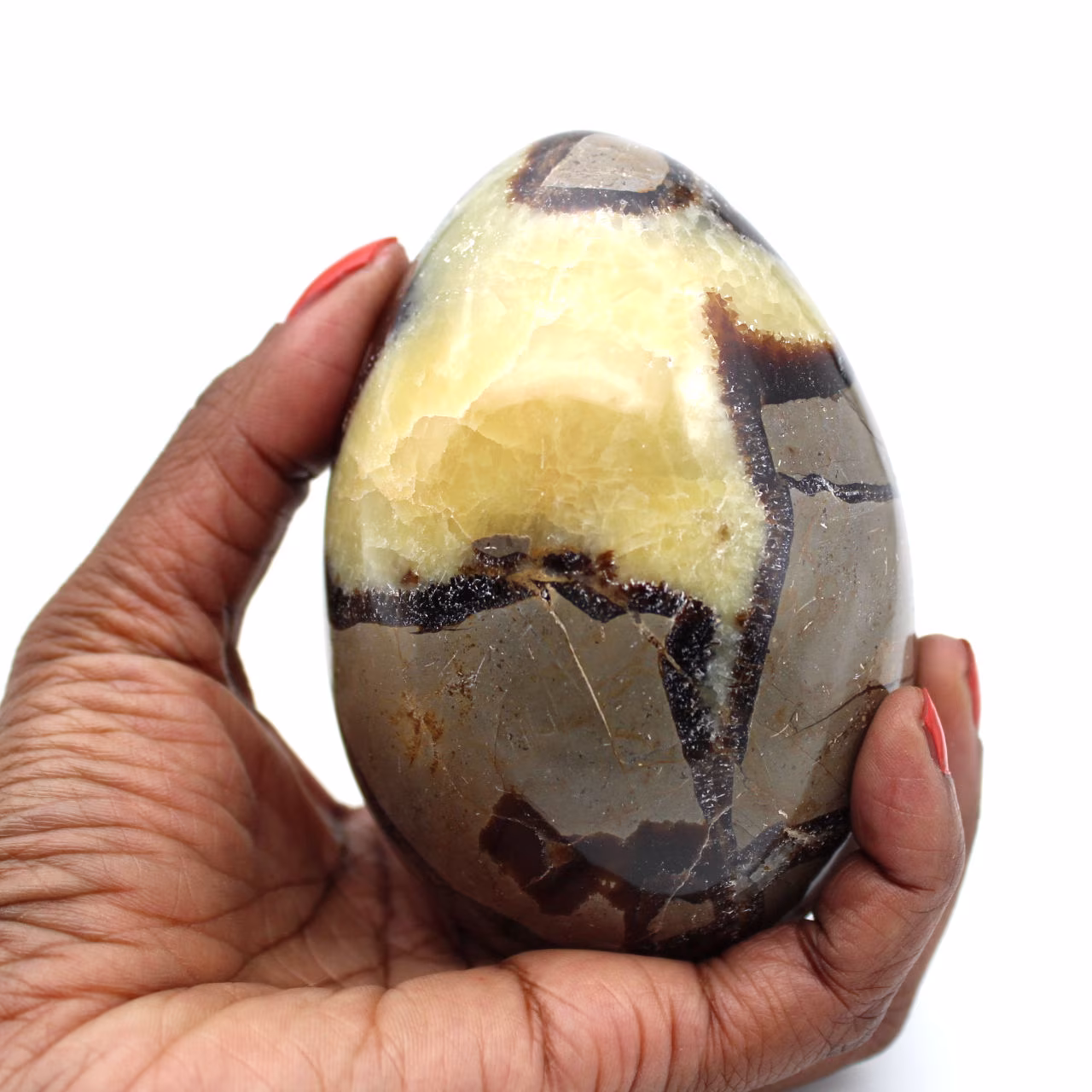 Mineral egg in septaria